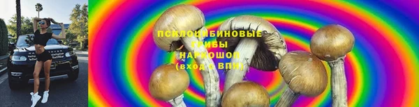 трава Куйбышев