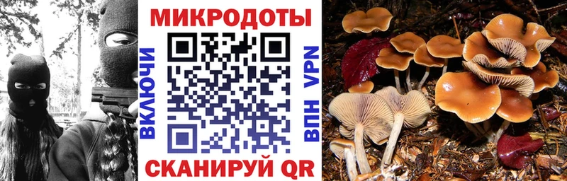 Галлюциногенные грибы прущие грибы Купить где Сортавала